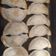 La cooksnap de Erik Manfred Foster cuando cocinó Empanadas de Acelga, queso y huevo duro (receta sencilla)