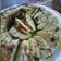 Cooksnap dari Ratih Norika (Yuya_kitchen) untuk resep Bolu Pisang Kukus Super Simple (No telur,No Mixer)