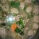 Cooksnap dari Pinol's untuk resep Sop Tulang Sapi
