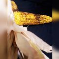 کوک اسنپ ŠÖhä بعد از امتحان کردن شیر بلال کبابی🌽.