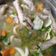 Cooksnap dari Lalala 🍀 untuk resep Sup ceker ayam