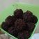 Cooksnap dari Mala untuk resep Roma Kelapa Chocolate Balls