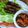 Cooksnap dari bunda ity untuk resep Sate Maranggi Daging Sapi