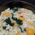 Cooksnap dari Fany Mujiyanto untuk resep Sup sayur makroni