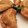 El cooksnap de mis-cocteles cuando hizo Empanadas de carne mixta con aceitunas.