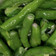 Jeremy's Kitchen 的 【厚生廚房】蒜炒菜豆 cooksnap