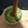 El cooksnap de Iris Porta Pirris cuando hizo Guacamole casero.