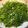Daphne 的 蒜炒水蓮 cooksnap