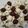 gramapam's cooksnap of when they made Oreo truffles.