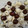 gramapam's cooksnap of when they made Oreo truffles.