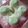 Cooksnap dari Evi utami untuk resep Kue putu tepung beras (putu bambu)