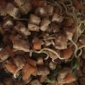 Cooksnap dari denmaz setya untuk resep Oseng mie tahu tempe wortel buncis