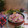 Bhavna Desai's cooksnap of when they made રતાળુ સાબુદાણાની ખીચડી (Ratalu Sabudana Khichdi Recipe In Gujarati).