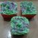 Cooksnap dari Rusti Surusti untuk resep Vanilla Cupcakes Lembut