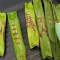 Cooksnap dari Ressy Susanti untuk resep Otak Otak Ikan Tenggiri