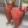 صورة من Danya Ma، شاركها بعد تجربة وصفة عصير البطيخ بارد يسرسح 🍉🍉🍉🍉
