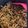 Hadisa Tabassum's cooksnap of when they made Spicy Noodle chaat.