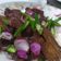 Cooksnap dari Susi Dewi untuk resep Dendeng batokok Cabe hijau