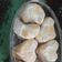 Cooksnap dari ajeng untuk resep Putri Salju Tintin Rayner