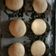 Cooksnap dari Rinda Arini untuk resep Roti Coklat