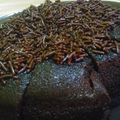 Cooksnap dari Dayu Laura Artono untuk resep Brownise Kukus Chocolatos