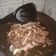 Cooksnap dari M. Ysf Gyr untuk resep Beef Teriyaki ala HokBen