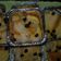 Cooksnap dari Tya Septya untuk resep Bread Pudding