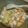 Cooksnap dari Mama Kika(๑'ᵕ'๑)⸝* untuk resep Cah Telur Sawi Putih