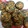 El cooksnap de Carina cuando hizo Muffins de verdura y mix de semillas.