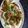 pinal Patel's cooksnap of when they made Dahi vada (white udad dal).