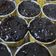 Cooksnap dari Aini Mardiyah untuk resep Ganache/ Glaze coklat donat