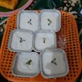 Cooksnap dari Siska Mariana untuk resep Lumpur surga