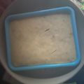 Cooksnap dari maya untuk resep Barongko/Pisang Kukus GulMer Ekonomis