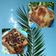 Cooksnap dari Hu Xiuling untuk resep Burnt chesee toast
