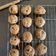 Cooksnap dari Amelia Puspa Ningrum untuk resep Giga Cookie Monster