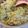 吳依瑾 的 瓠瓜鹹粥 cooksnap