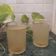 Payal Bhatt's cooksnap of when they made વરિયાળી શરબત (Variyali Sharbat Recipe In Gujarati).