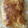 El cooksnap de Jonas Cobos cuando hizo Solomillo de pavo con manzana caramelizada y hojaldre.