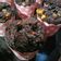 Cooksnap dari Pawon mak Fatih untuk resep Banana Muffin Double Chocolate
