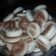 El cooksnap de Marcelo Sayaga cuando hizo Bizcochos de grasa Súper Fácil!.