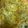 yoli123's cooksnap of when they made baked mac n cheese.