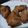 Cooksnap dari retnoyudhi - untuk resep Spicy Chicken Wings Air Fryer