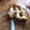 El cooksnap de Silvia Gonzalo cuando hizo Pastafrola (masa con manteca).