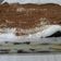 Cooksnap dari Fulla untuk resep Tiramisu Oreo Dessert Box