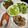 Grace 的 氣炸鍋鮭魚 cooksnap