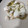 El cooksnap de @cocina_en_casa.cs cuando hizo Sepia a la plancha con salsa verde.
