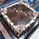 Cooksnap dari Osh Cahya untuk resep Chocolate Cake (Lembut,Coklat Banget)