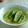 Cooksnap Nur Nadiah semasa beliau membuat 👩‍🍳Masak Lemak Cili Api Ikan Masin Terong.