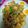 รูป Cooksnap ของ ณัฐนนท์ ทองย้อย เมื่อเขาทำ ผัดถั่วงอก เต้าหู้ หมูสับ