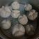 Cooksnap dari Nur Fatimah untuk resep KUE MANGKOK MEKROK / Kue Apem + tips supaya mekar